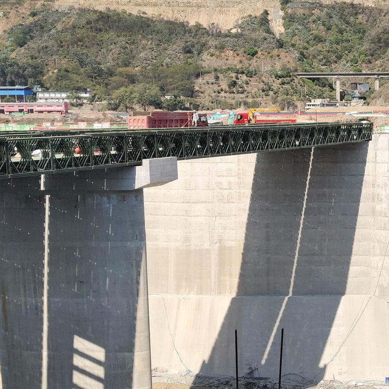 Professional Emergency Temporary Bailey Steel Construction Bridge Design