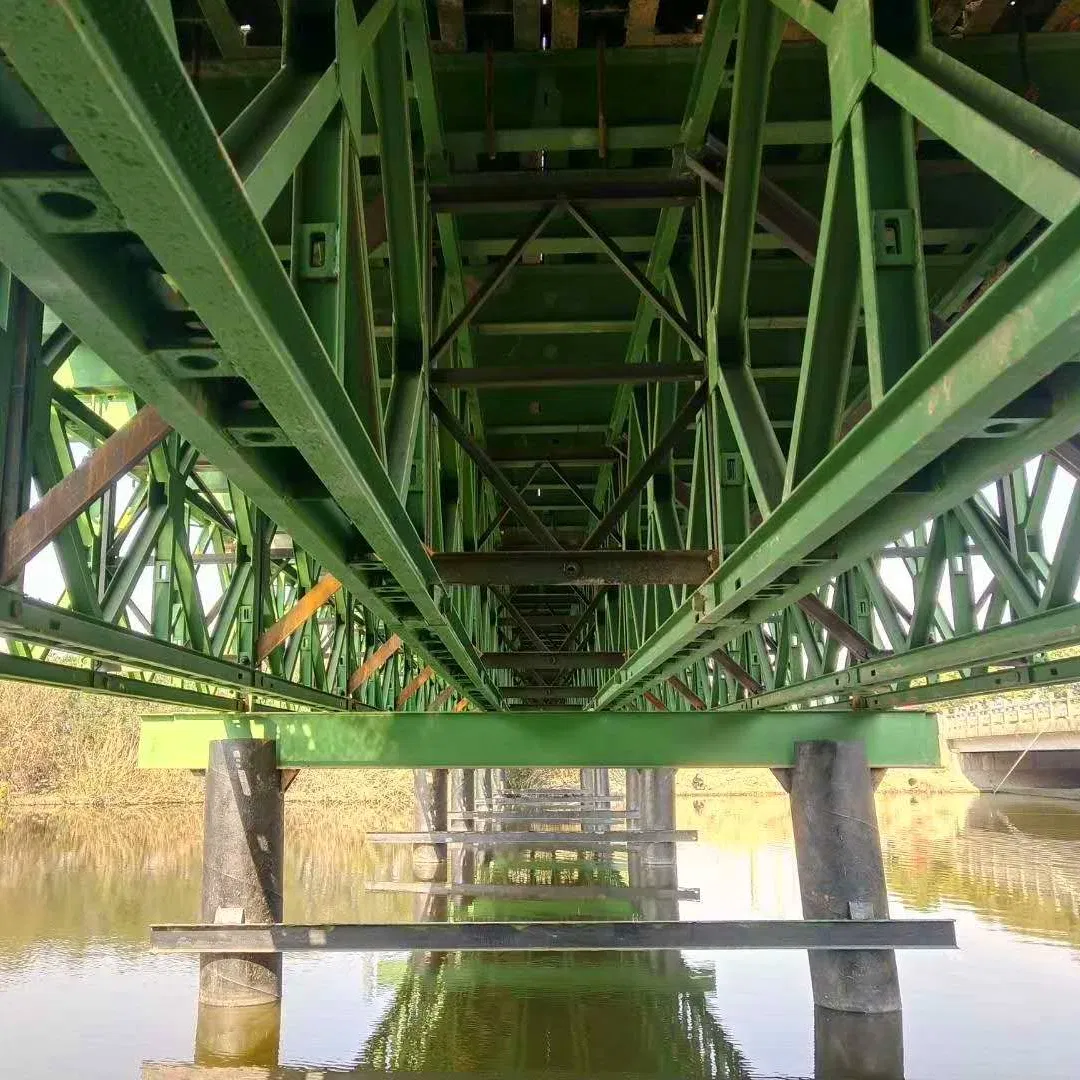 Prefab Steel Profile Galvanized Steel Bridge: Bailey Design for Foot Traffic