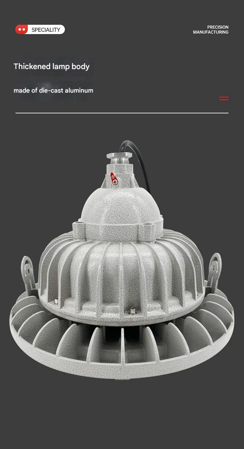 Explosion-Proof Light Photo 5