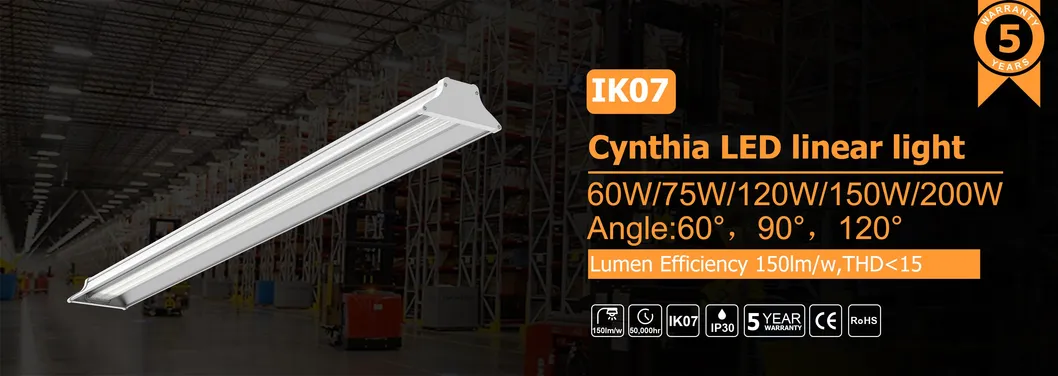 Linear LED Light