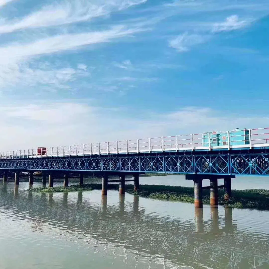 Durable Prefab Steel Bailey Bridge, Steel Construction, on-Site Guidance Offered