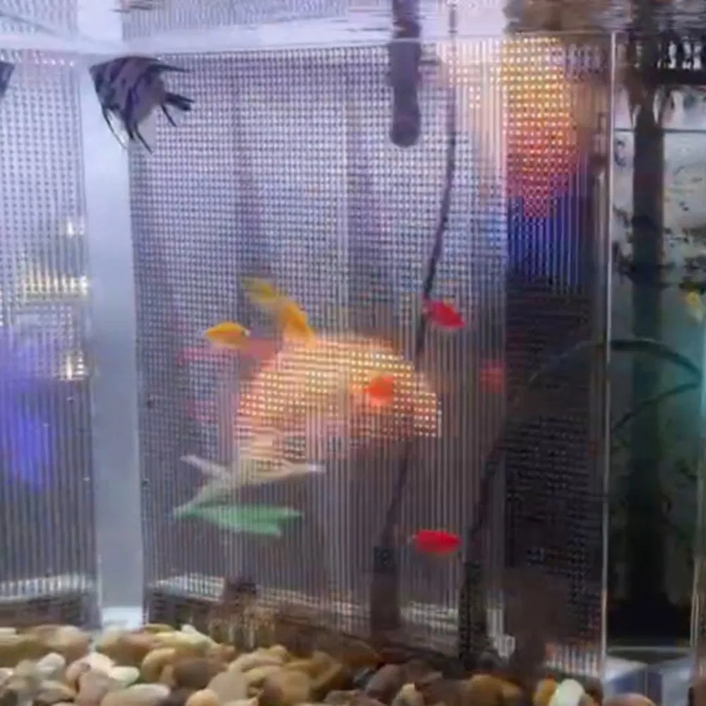 Convenient Flexible Transparent Submersible LED Screen for Underwater Performance Stage