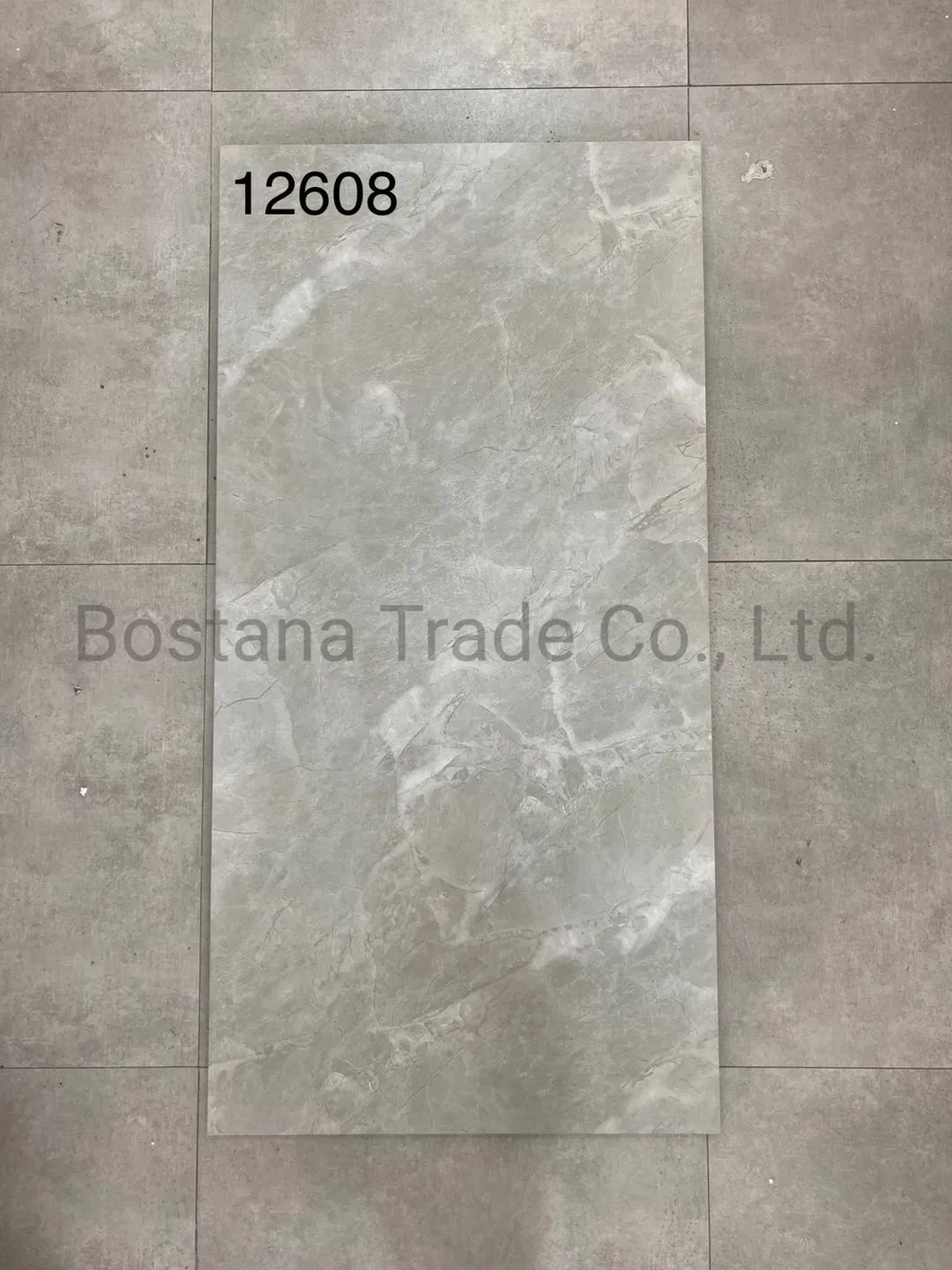 Rustic Floor Tile Detail 3