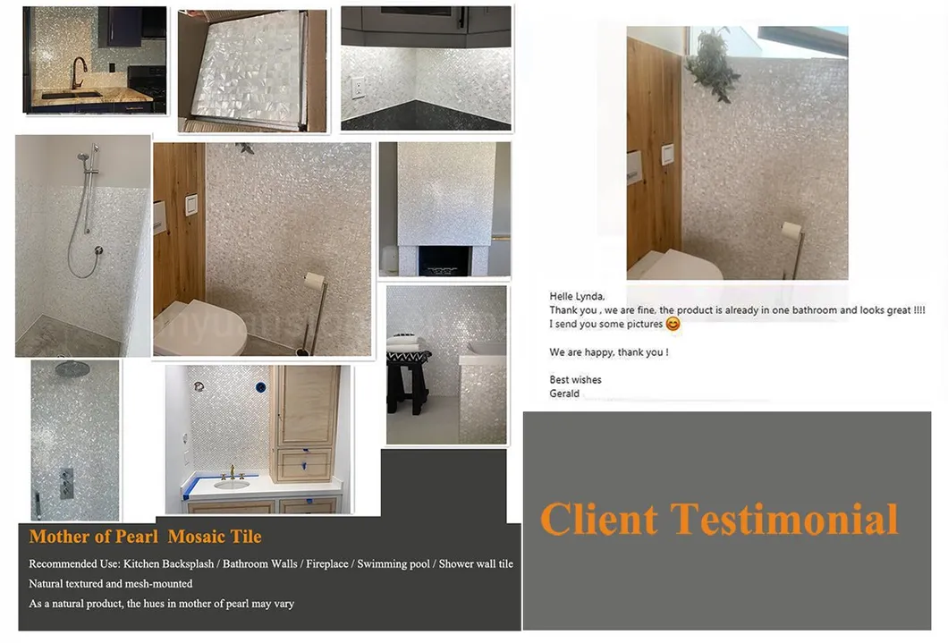 Shell Mosaic Installation