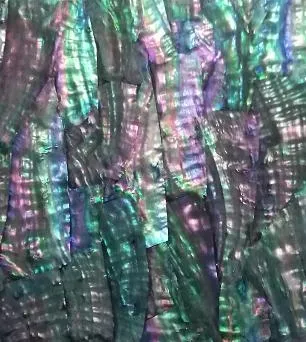 Luxury Abalone Mother of Pearl Mosaic 1
