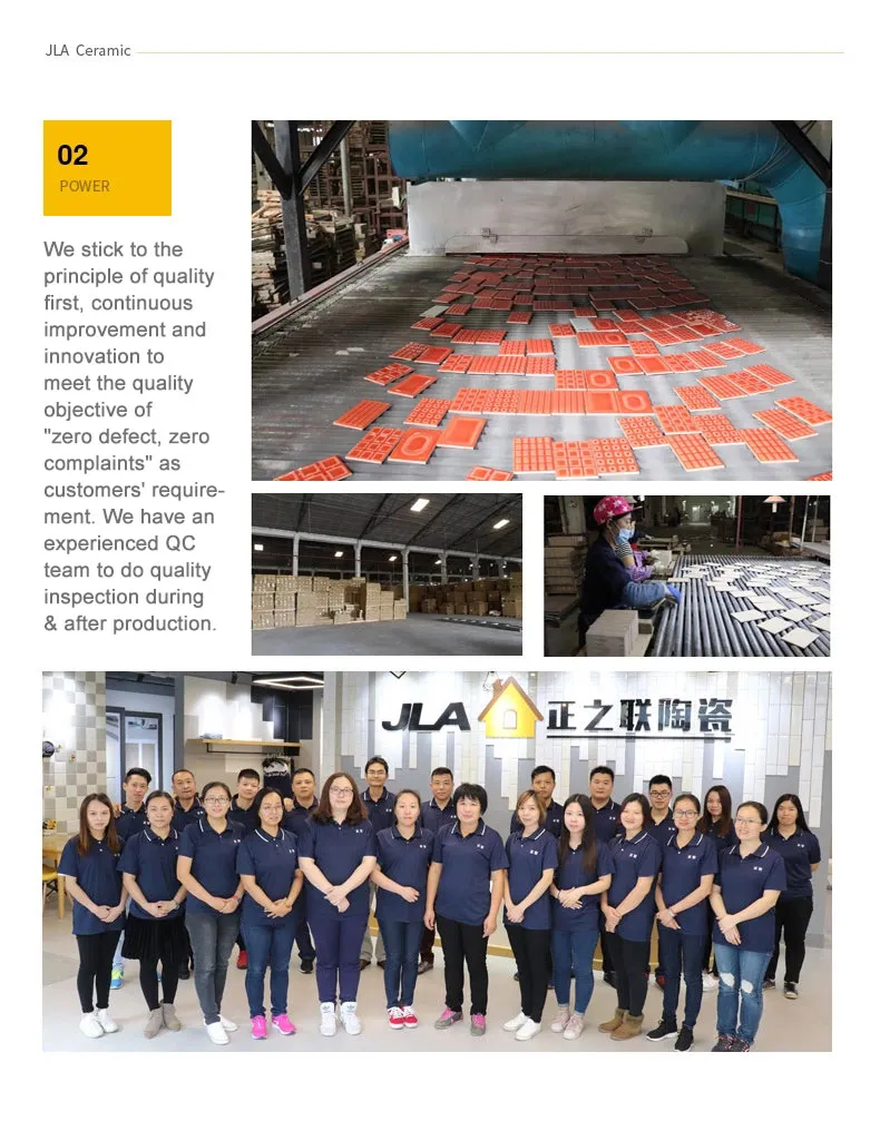 Glass Mosaic Application 4