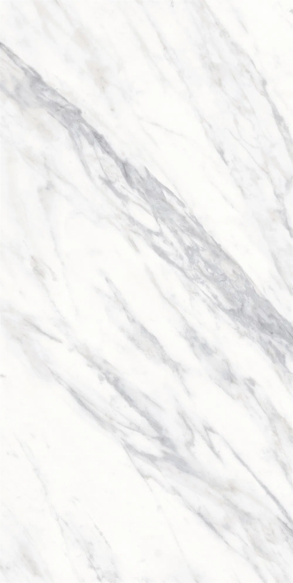 Large Format White Marble Look Tiles