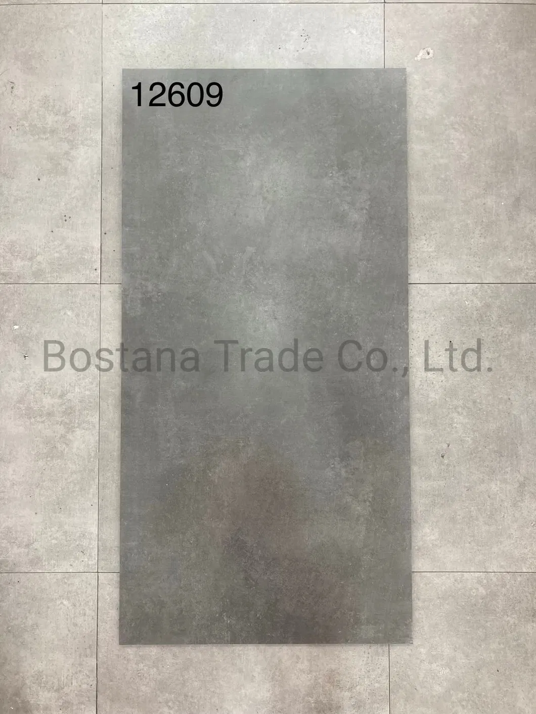 Rustic Floor Tile Detail 4