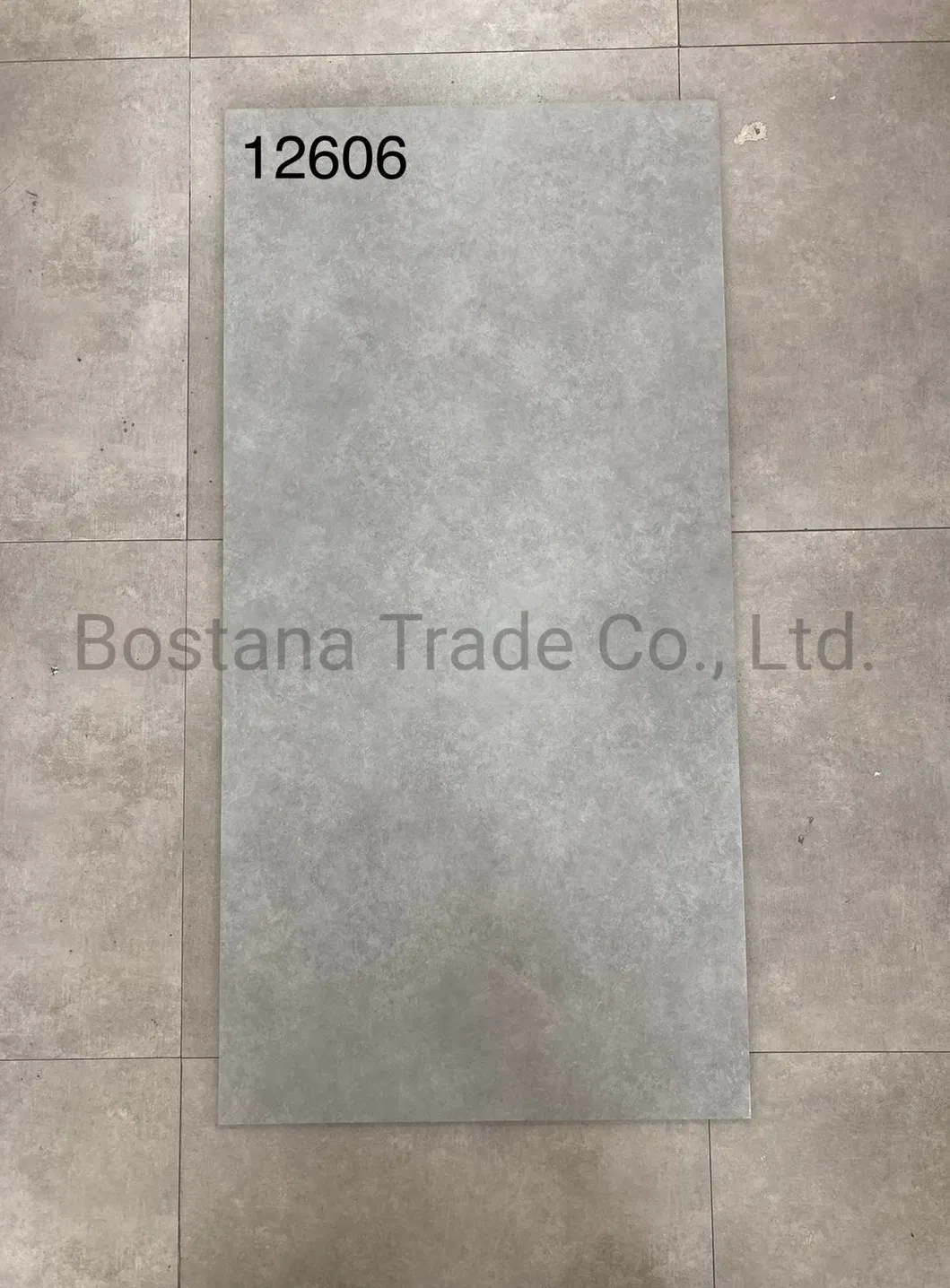 Rustic Floor Tile Detail 1