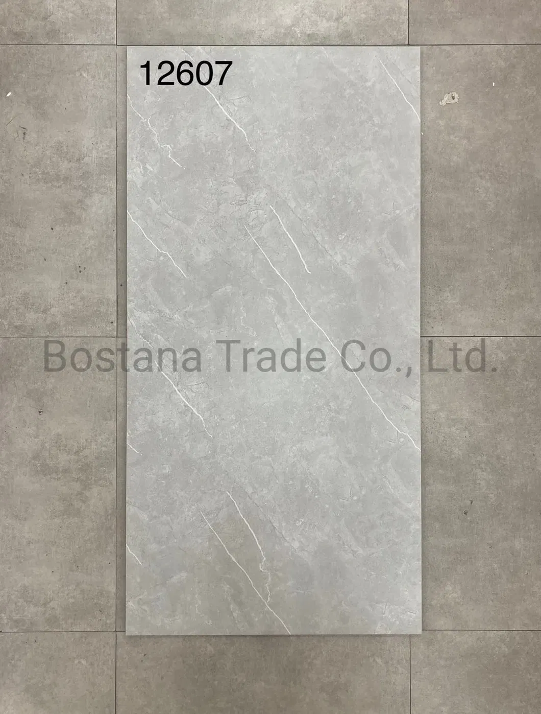 Rustic Floor Tile Detail 2