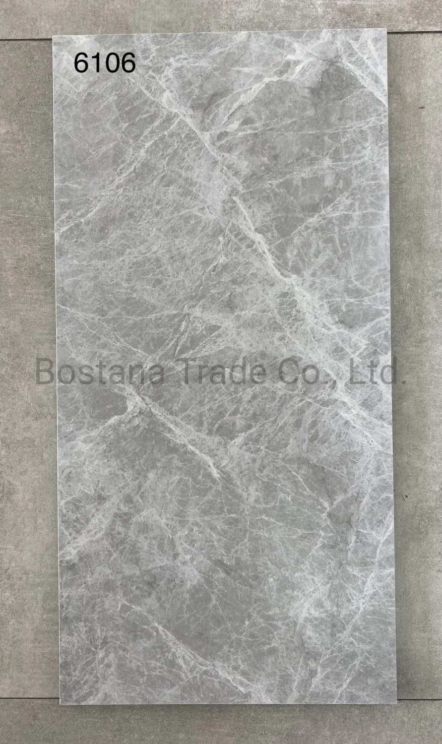 Rustic Ceramic Floor Tile 6