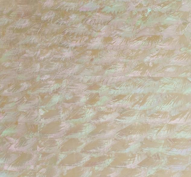 Jewel-Like Polished Abalone Mother of Pearl Mosaic for Luxury Interior Wall Tiles and Artistic Commercial Space Designs