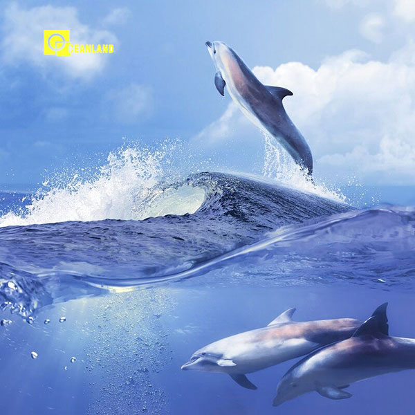 Decorative 3D Porcelain Wall Tiles Picture for 1200X1200