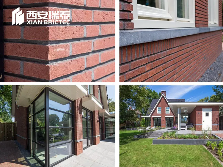 Brick Paving Bricks 1