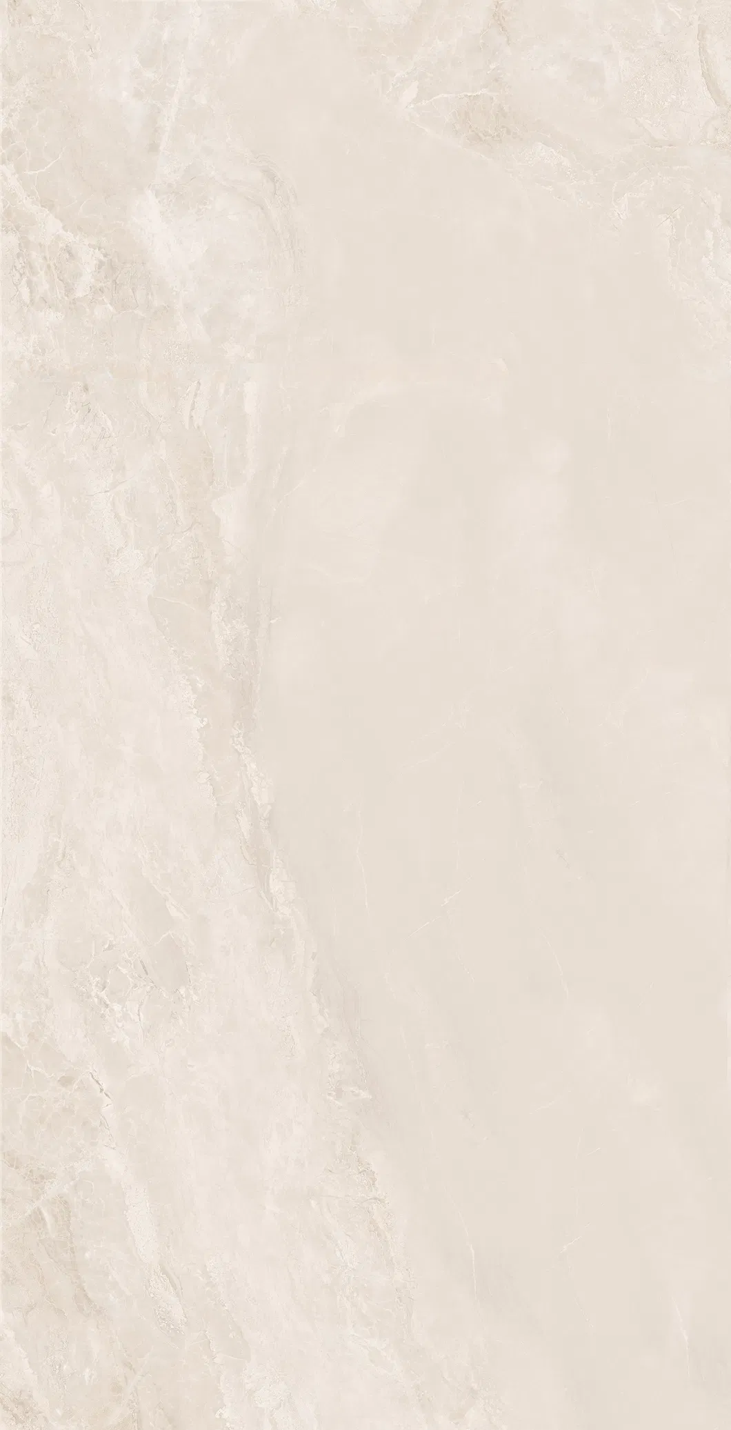 Full Polished Tiles Display