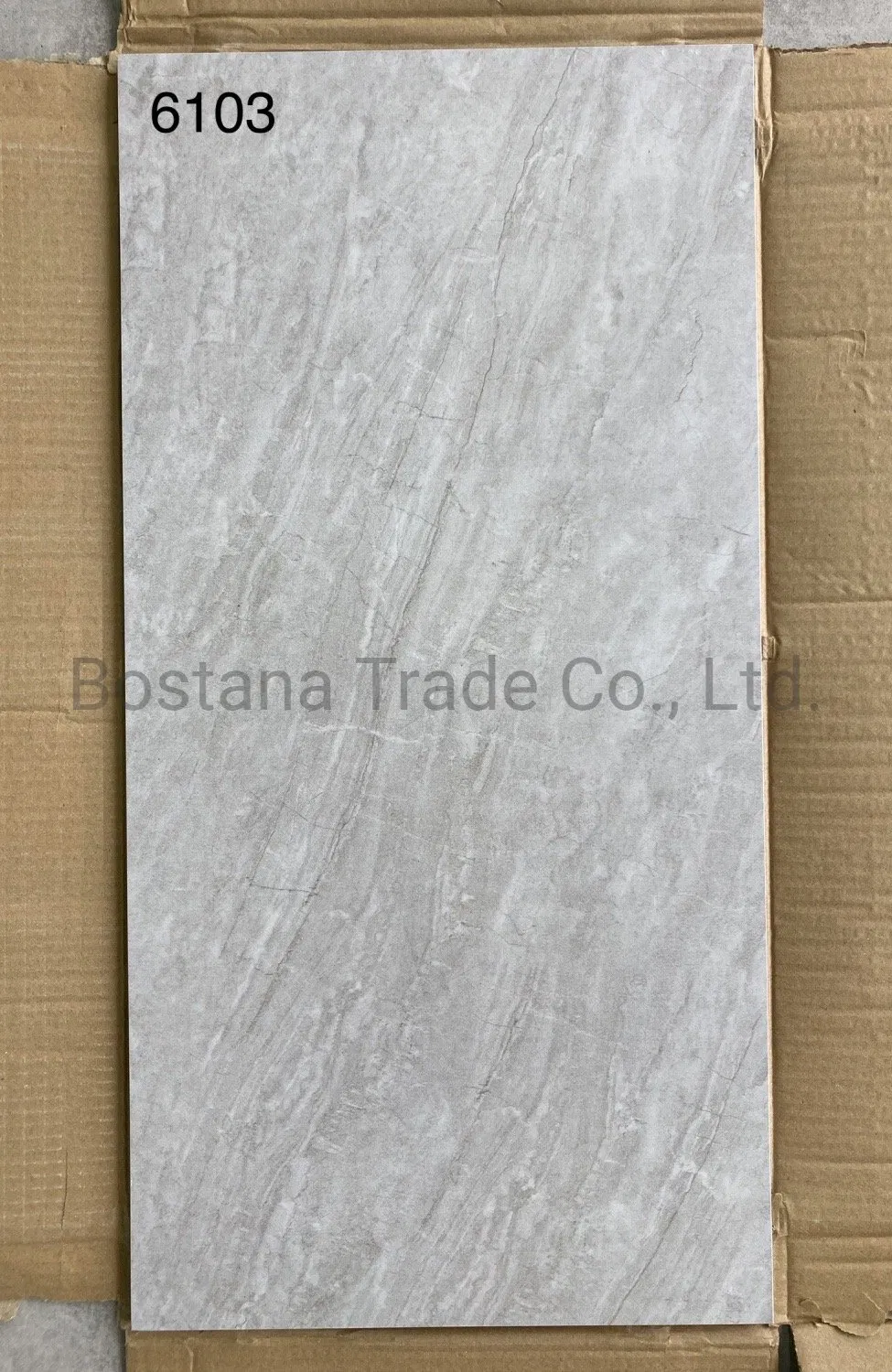 Rustic Ceramic Floor Tile 3