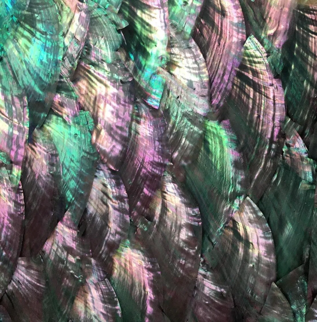 Jewel-Like Polished Abalone Mother of Pearl Mosaic for Luxury Interior Wall Tiles and Artistic Commercial Space Designs