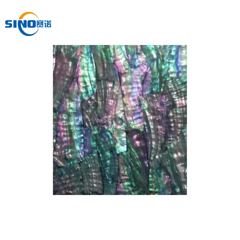 Jewel-Like Polished Abalone Mother of Pearl Mosaic for Luxury Interior Wall Tiles and Artistic Commercial Space Designs