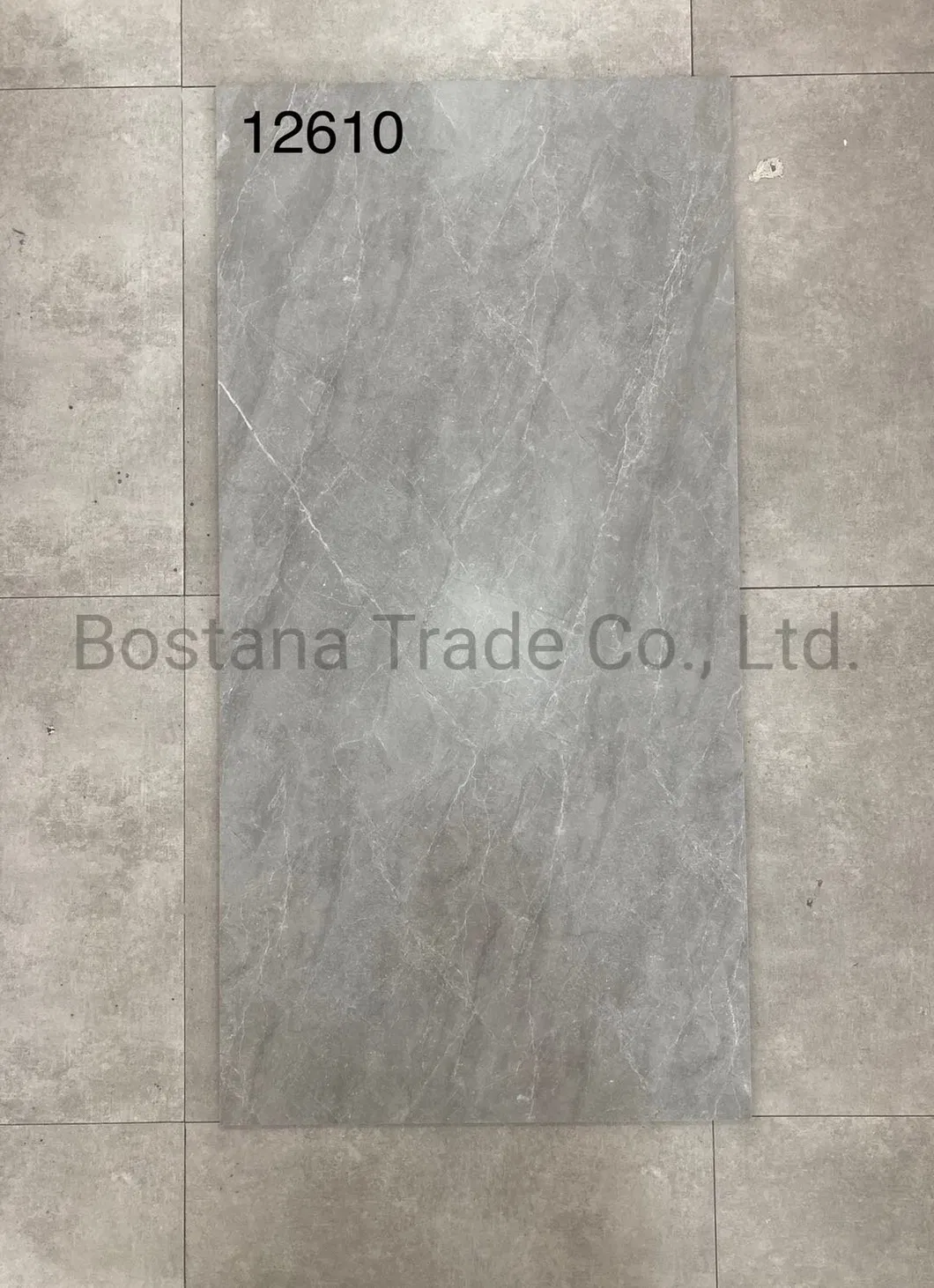 Rustic Floor Tile Detail 5