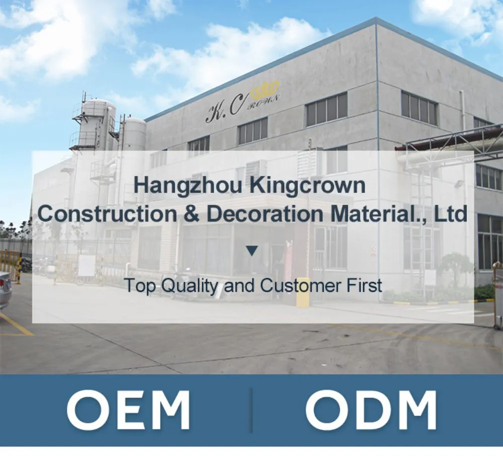 Stainless Steel Extrusion Full Height Panel Screen One Ear Bracket