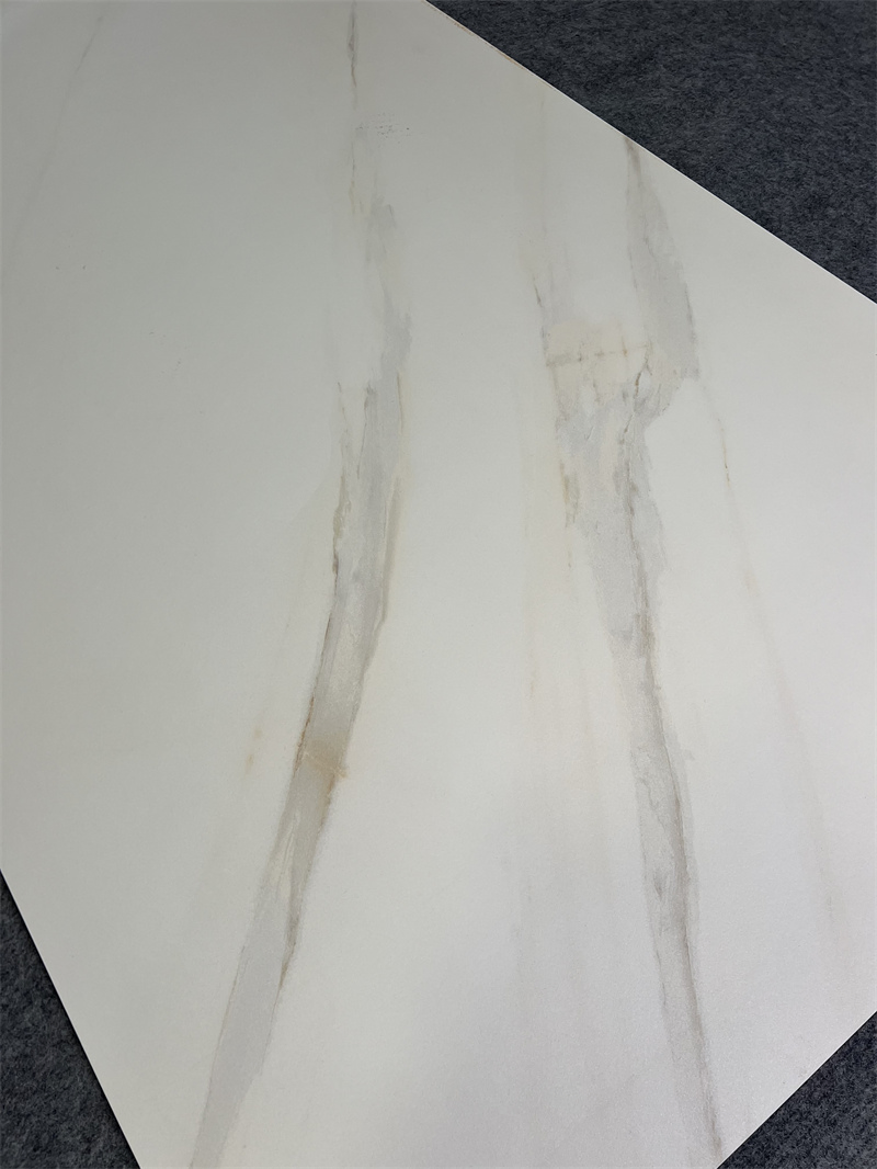 Contemporary Rustic Matte Finish Large Format Floor Tile