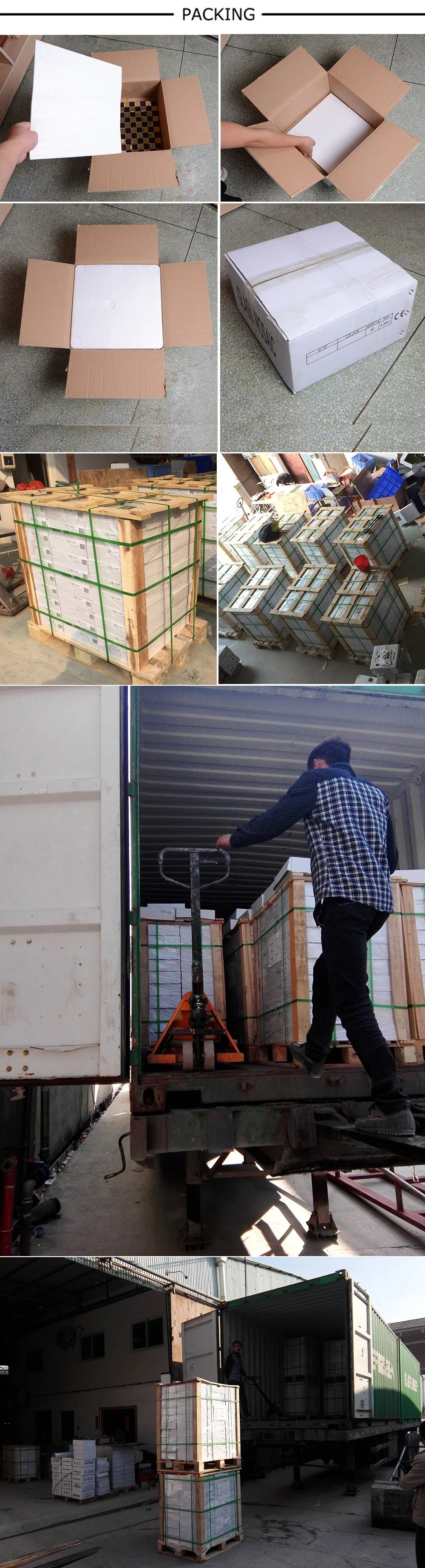 Mosaic Application 1