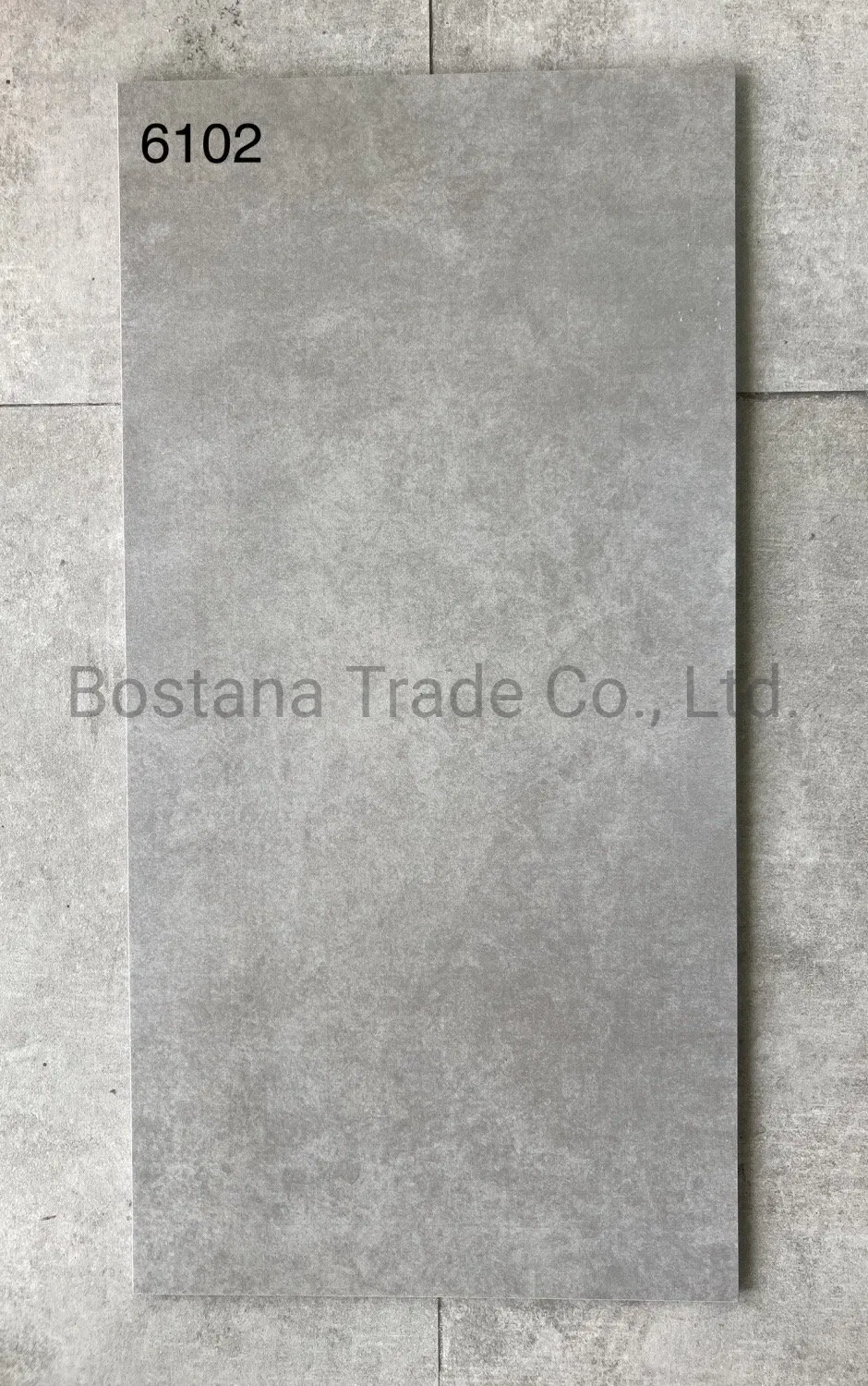 Rustic Ceramic Floor Tile 2