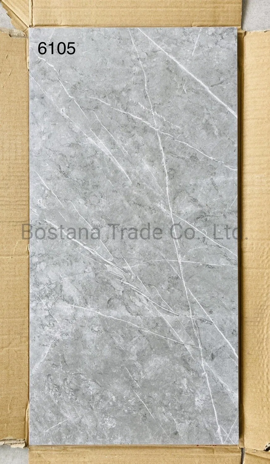 Rustic Ceramic Floor Tile 5