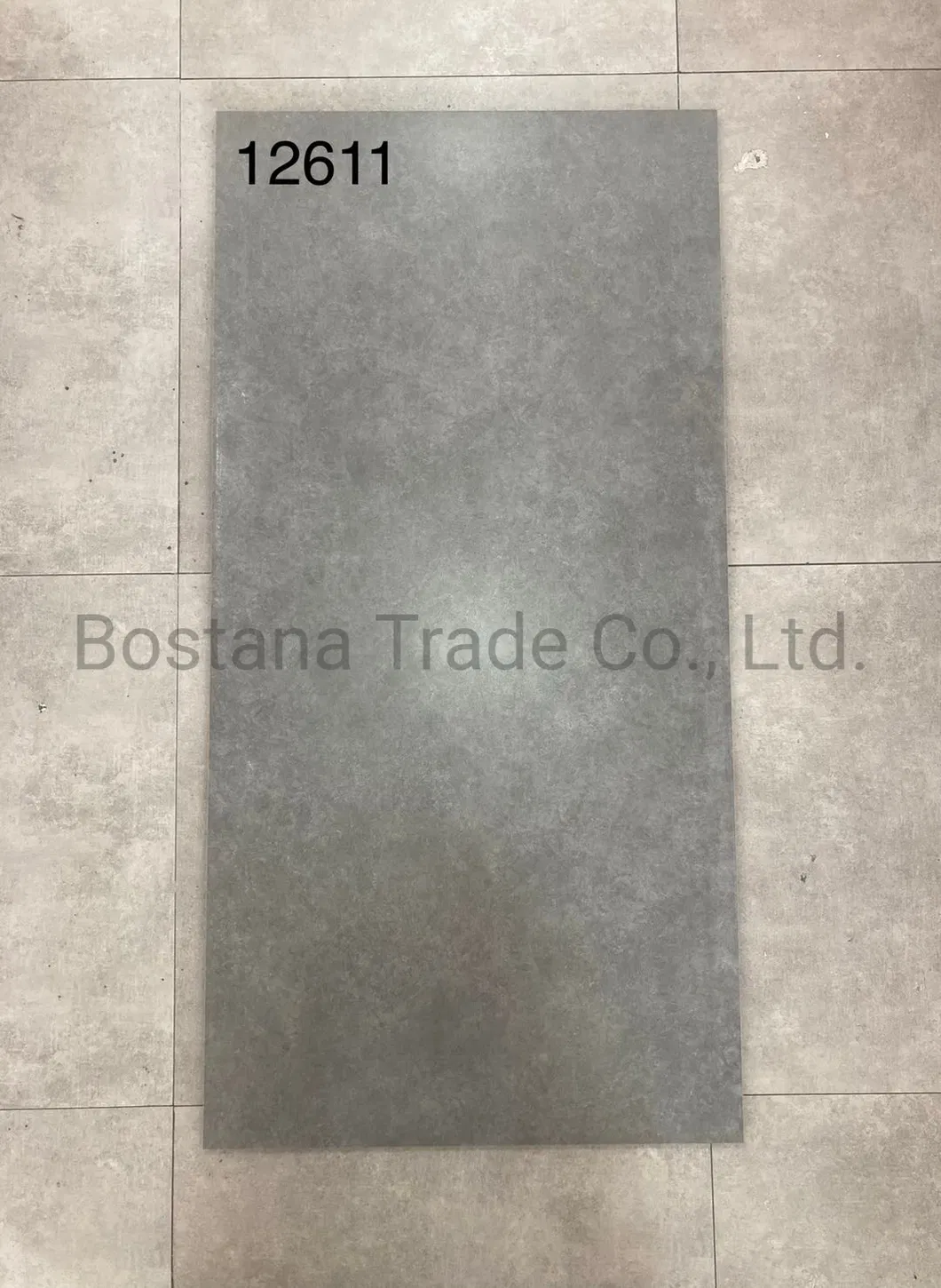 Rustic Floor Tile Detail 6