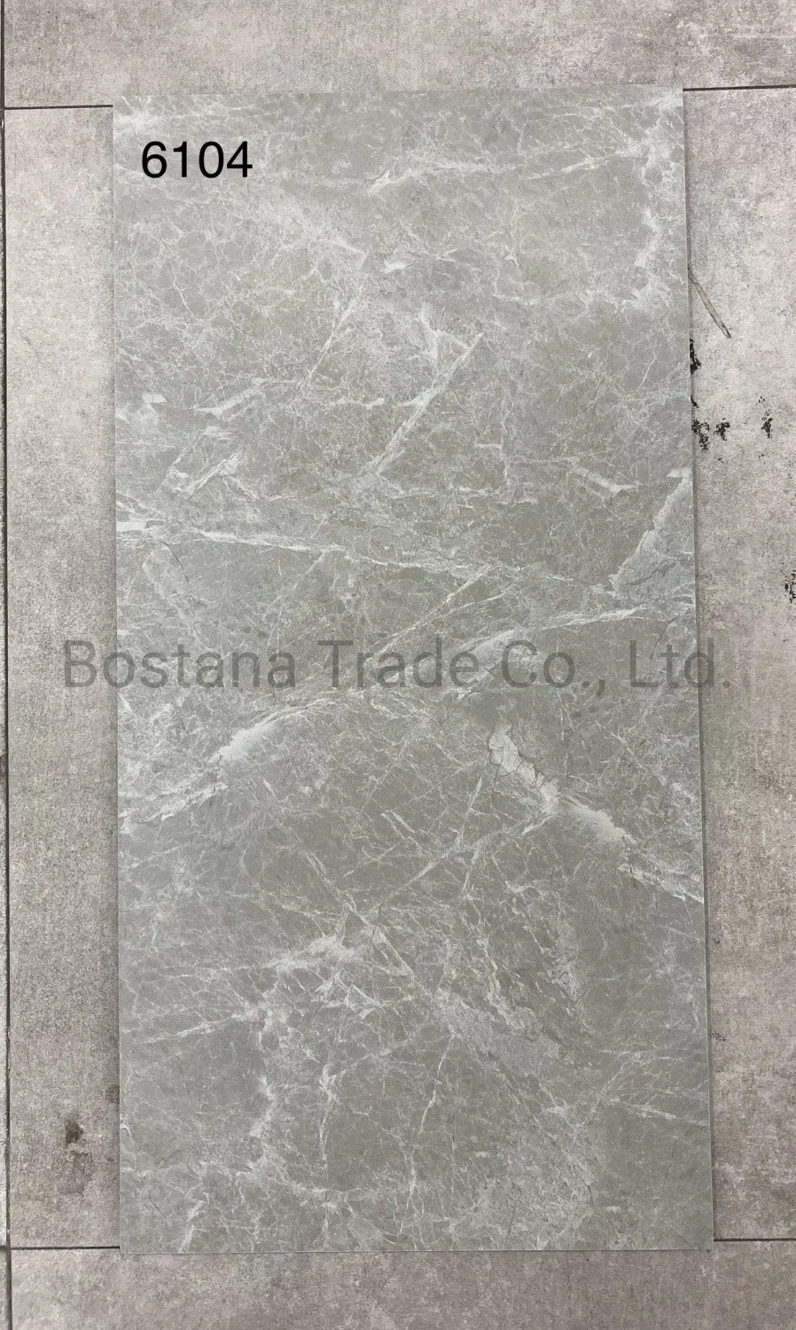 Rustic Ceramic Floor Tile 4