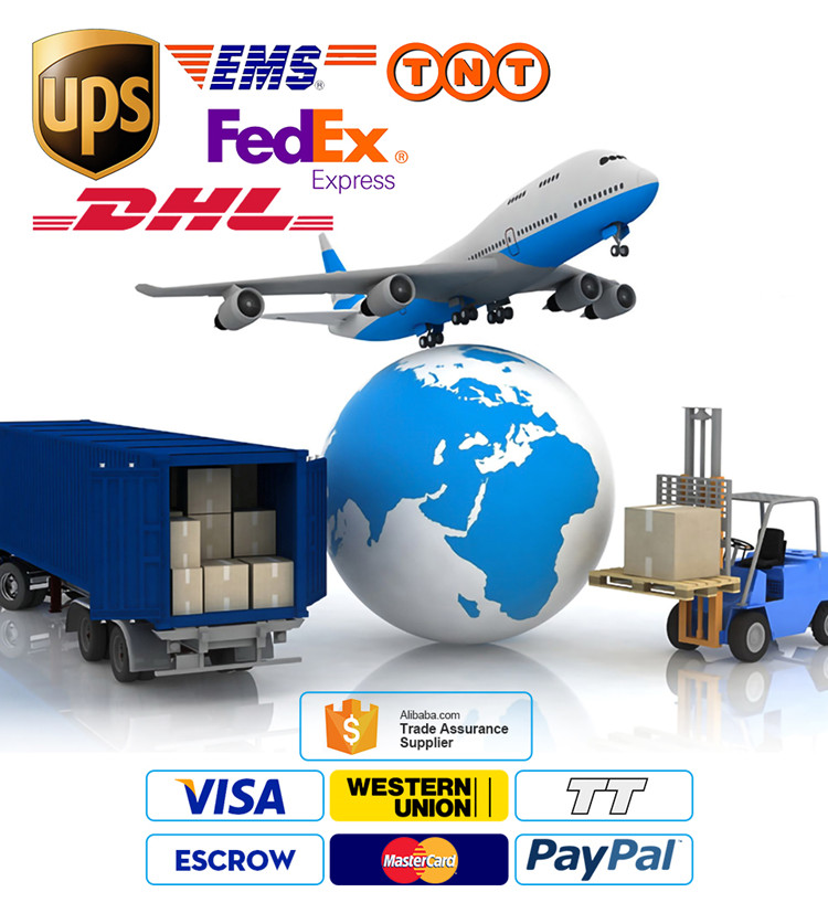 Shipping and Payment