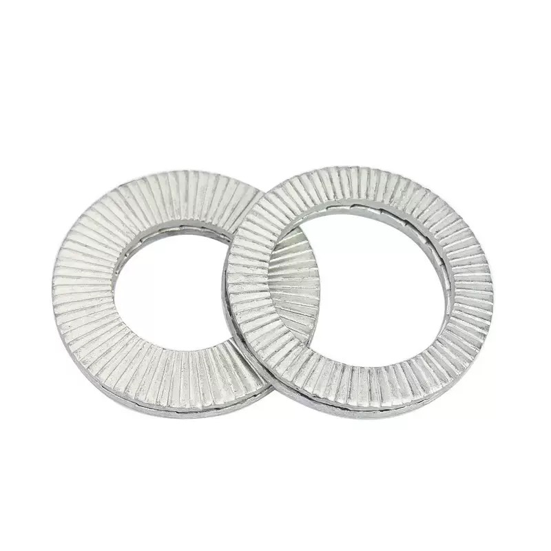 DIN25201 Stainless Steel Double Coil Lock Washer Plain Twin-Coil Locking Wedge