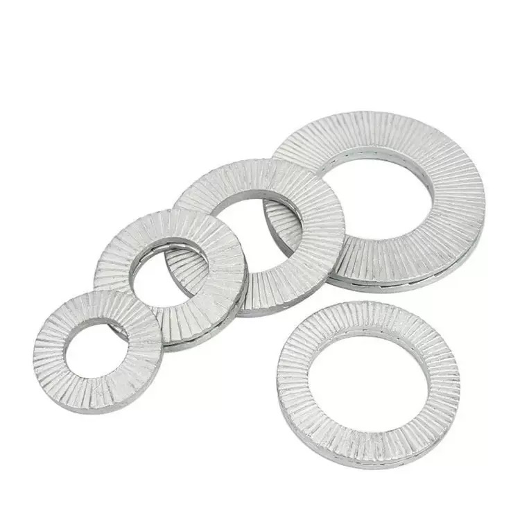 DIN25201 Stainless Steel Double Coil Lock Washer Plain Twin-Coil Locking Wedge