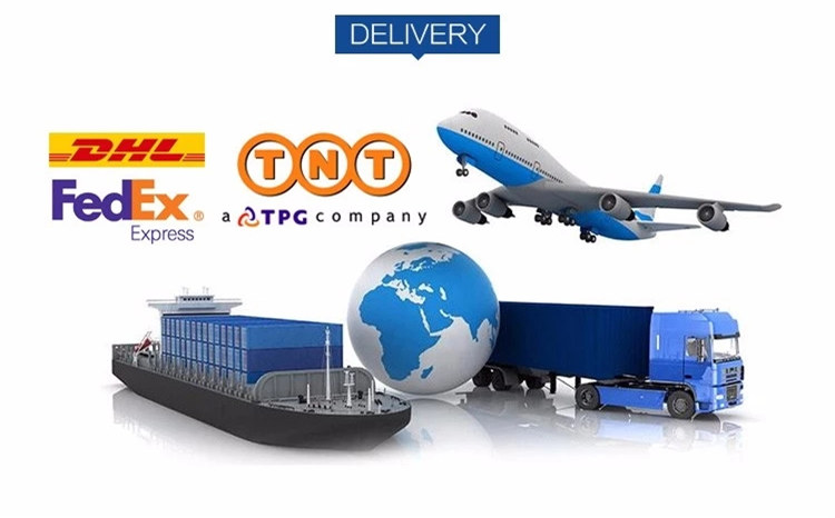 Shipping Logistics
