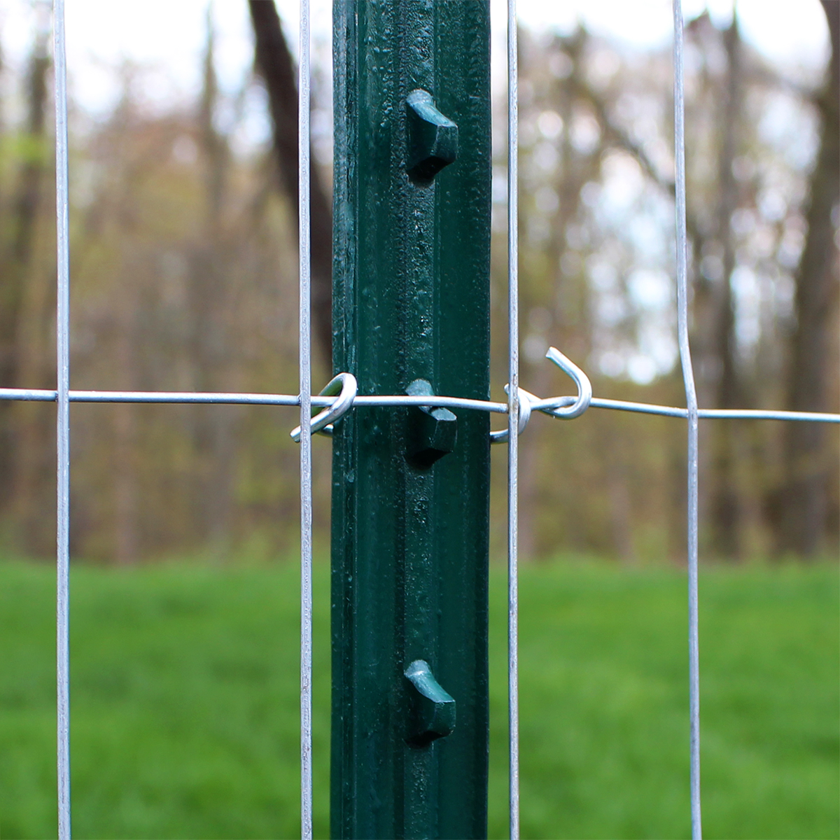 Metal Post T Post T Bar Grape Plant Stake Paint Unpainted With Spade Without Spade