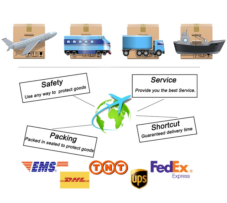 Container shipping logistics