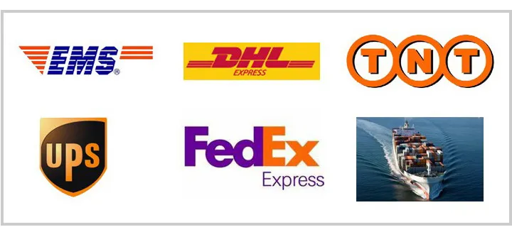 International Logistics and Shipping Channels