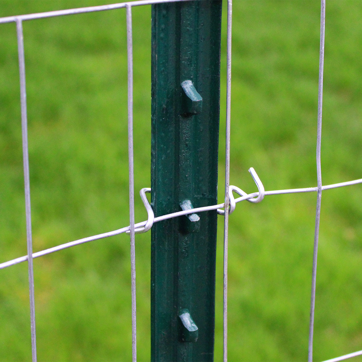 Metal Post T Post T Bar Grape Plant Stake Paint Unpainted With Spade Without Spade