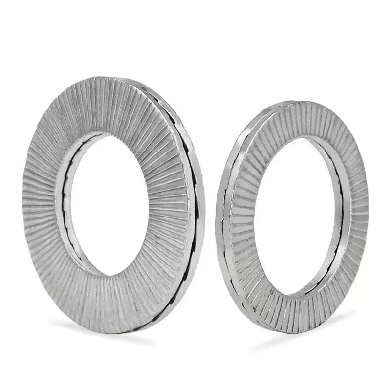 DIN25201 Stainless Steel Double Coil Lock Washer Plain Twin-Coil Locking Wedge