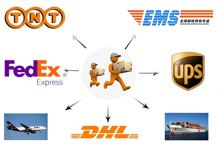 Shipping logistics options