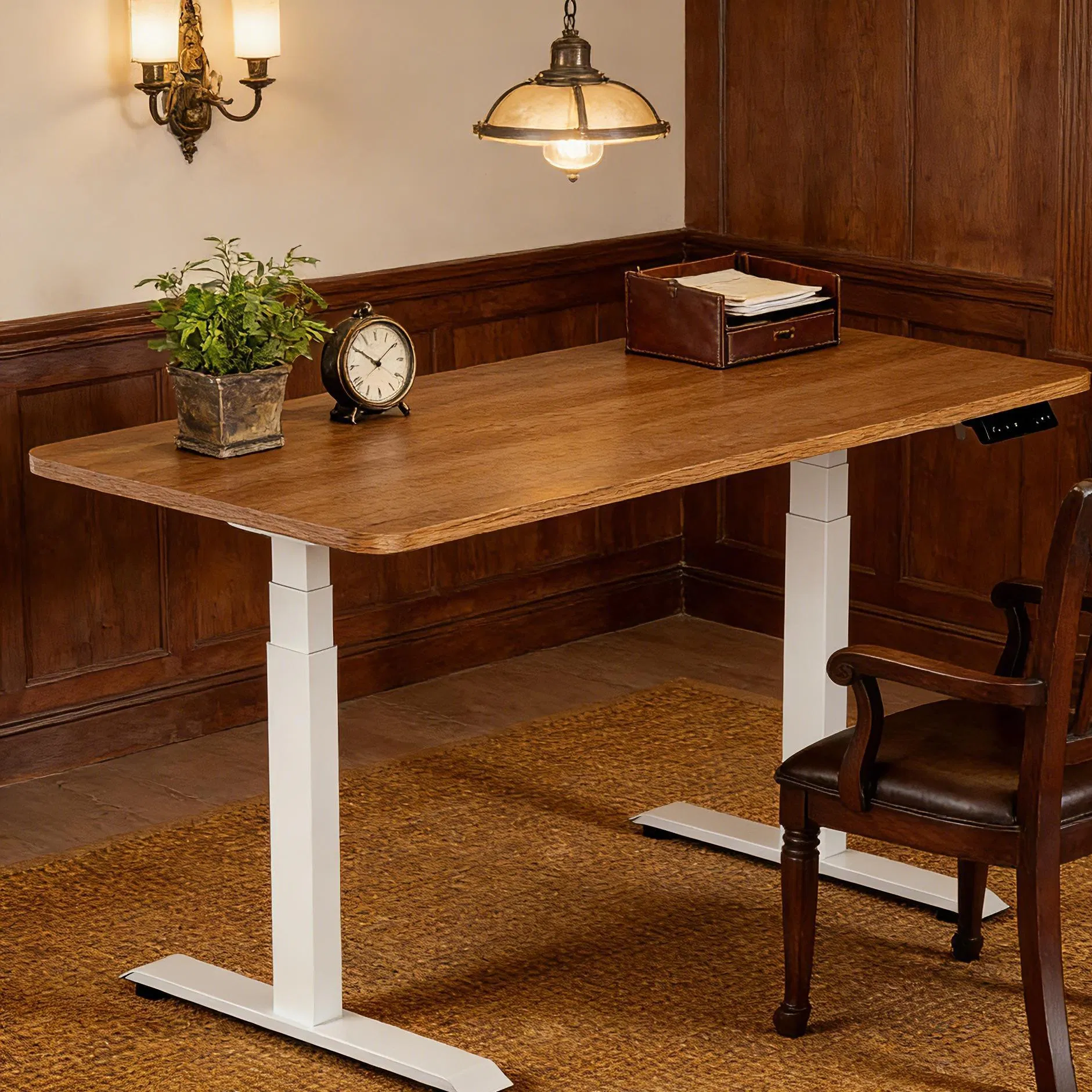 Electric Lifting Height Adjustable Standing Desk Ergonomic Students Learning Table