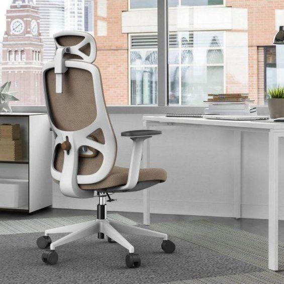 Ergonomic Mesh Task Chair with Lumbar Support Ideal for Home Office Use