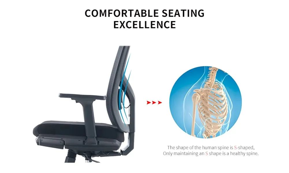 Ergonomic Office Chair View 2
