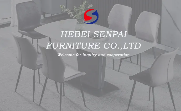 Modern Home Dining Table