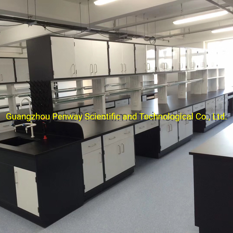 Science Lab Table Lab Furniture for Pharmaceutical Lab / Hospital Lab /Chemical Resistant Top (W750/1500mm X L2500mm)