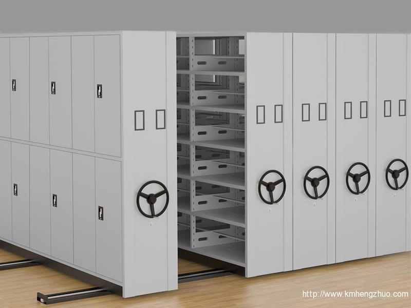 Secure Storage Furniture with Stylish Office Cupboard Customization Options