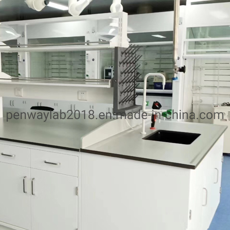 Steel Cabinet Science Lab Furniture Lab Table/ Phenolic Top (2500L*750Wmm) Black &amp; Offwhite