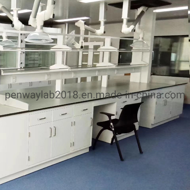 Steel Cabinet Science Lab Furniture Lab Table/ Phenolic Top (2500L*750Wmm) Black &amp; Offwhite