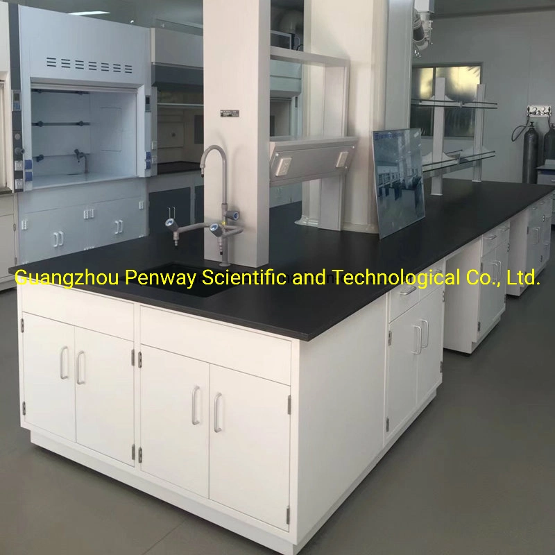 Science Lab Table Lab Furniture for Pharmaceutical Lab / Hospital Lab /Chemical Resistant Top (W750/1500mm X L2500mm)