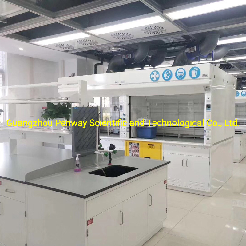 Science Lab Table Lab Furniture for Pharmaceutical Lab / Hospital Lab /Chemical Resistant Top (W750/1500mm X L2500mm)